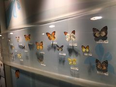 -吉林省自然博物馆