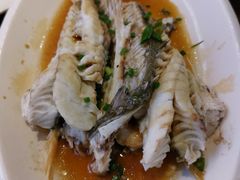 清蒸七星斑-朴厝私房菜(鼓浪屿店)