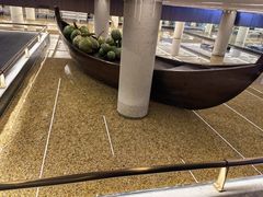 -大头椰·椰子鸡火锅(南宁万象城店)