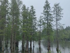 -白鹭湾湿地公园