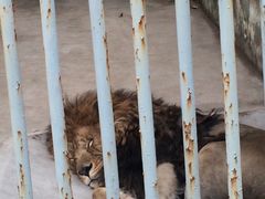 -祥源·阜阳生态乐园