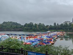 -枫香湖儿童公园