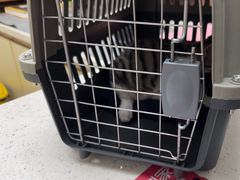 -宠颐生宠物医院·异宠猫科内科·诊疗中心宠巢店