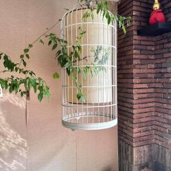 -威思丽高温瑜伽会馆