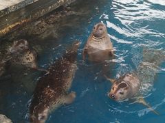 -华夏文旅海洋公园