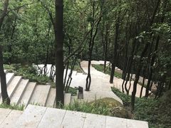-火炉山森林公园