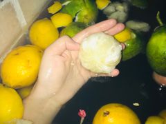 -天目湖涵田半山温泉