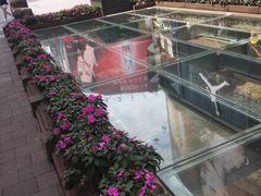 -北京路步行街-千年古道遗址