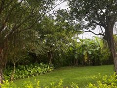 -芒洲湿地公园
