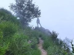 -阳台山自然风景区