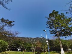 -梧桐山风景名胜区