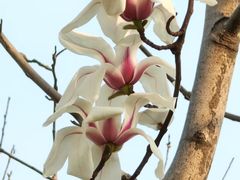 -桃源居(蠡园店)