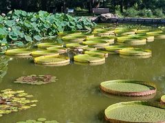 -国家植物园南园