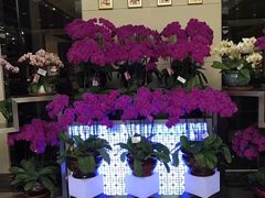 -富力希尔顿酒店·地阔自助餐厅