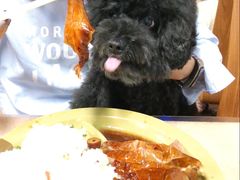 -下村新强记烧鹅店