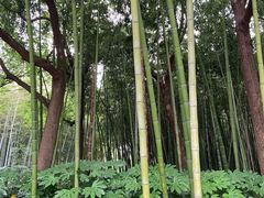 -苏州河梦清园环保主题公园