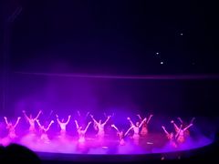 -水秀国际大剧院