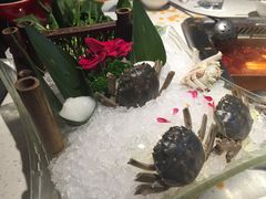 -海底捞火锅(银泰中心店)