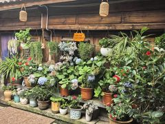 -龙姐私房菜(和顺古镇店)