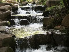 -中国茶叶博物馆(双峰馆区)
