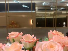 -红鼎豆捞·非遗鲍皇汤火锅(宝丰路店)