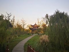 -南湖湿地公园
