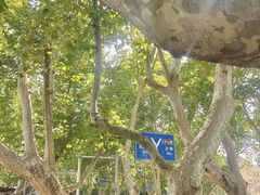 -金原鸭血粉丝汤·汤包·脆皮烤鸭(南京博物院店)