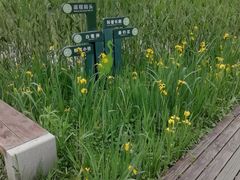 -长兴太湖图影湿地文化园