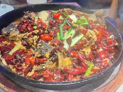 -老板恋上鱼(恒隆广场店)