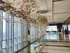 -视界美食自助餐厅·石家庄希尔顿酒店