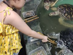 -嘉兴海底世界