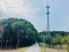 -嘉北郊野公园