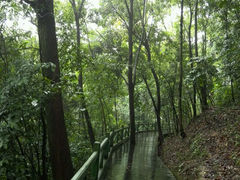 android_upload_pic-四会奇石河风景区