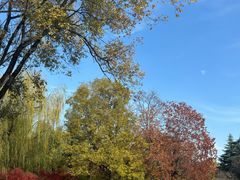 -洛阳市隋唐城遗址植物园