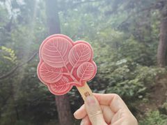 -香山公园