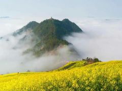 -永州阳明山国家森林公园
