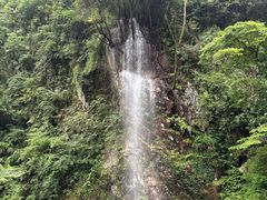 -西岭雪山大飞水景区