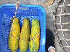 -西双版纳傣族园