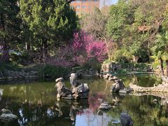 -叶家花园