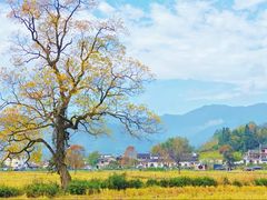-塔川景区