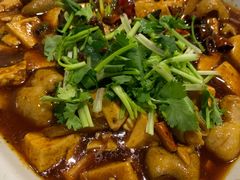 豆花牛肉-天回镇何氏豆腐(总店)