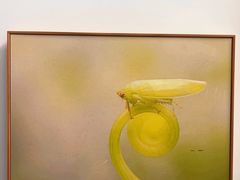 -上海昆虫博物馆