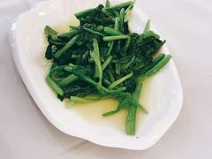 清炒菠菜-贵州大厦贵州厅(樱花园西街店)