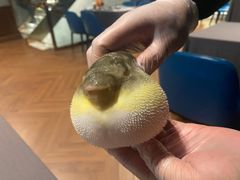 -肆月河豚·新淮扬(金融街店)