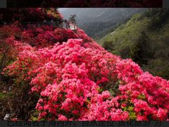 -木兰云雾山