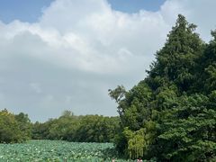 -上海海湾国家森林公园