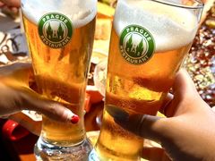 -布拉格餐厅· 中欧捷克菜(全国首店)