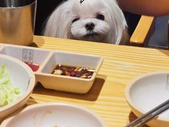 -喜来稀肉(北外滩白玉兰广场店)