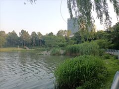 -美兰湖景区