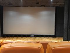 -华美国际影城(旧宫永辉店)